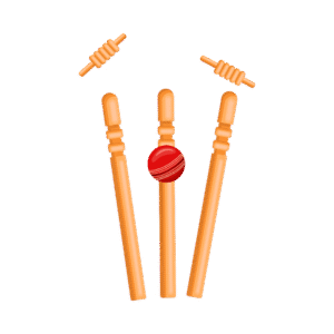 cricket pitch