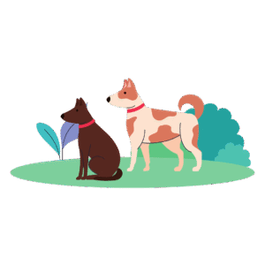 pet park